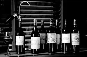 Système de conservation du vin Wikeeps