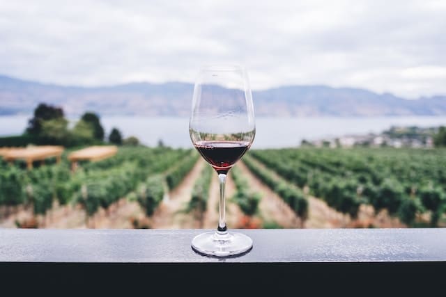Wine tourism