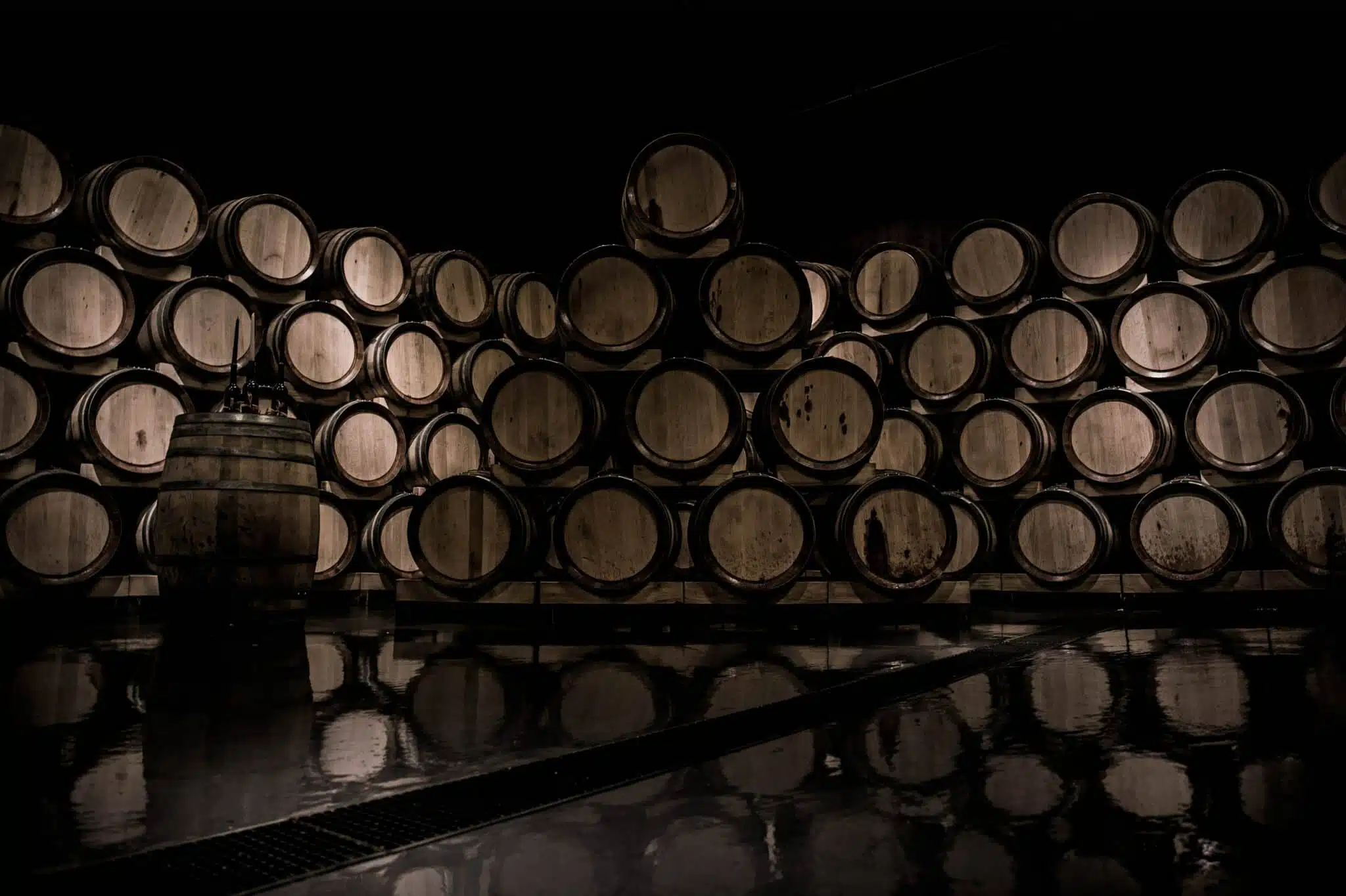 daniel-vogel-NUD6cWNdBv8-unsplash Ageing wine 2023
