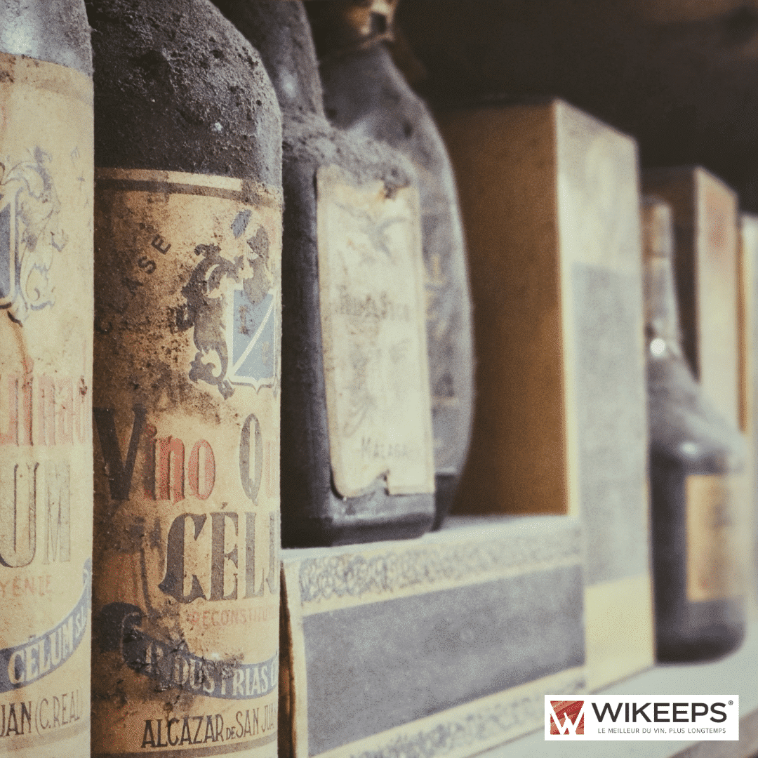 Vin de Garde Définition et Caractéristiques Wikeeps
