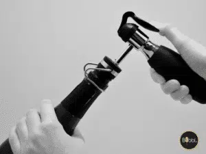 Sparkling preservation system- BUBBL. wine&bar