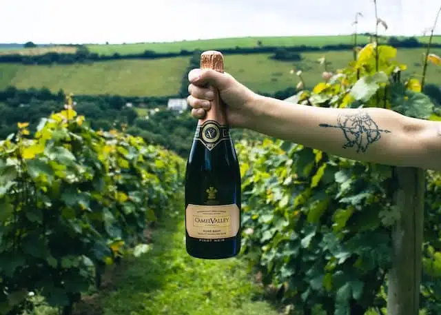 Une personne tient une bouteille de champagne 