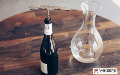 Top rated wine decanters for serving and preserving your wine