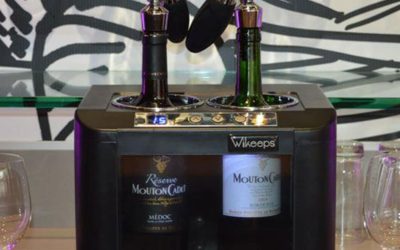 Frigo à vin : pourquoi il préserve mieux vos bouteilles qu’un frigo classique