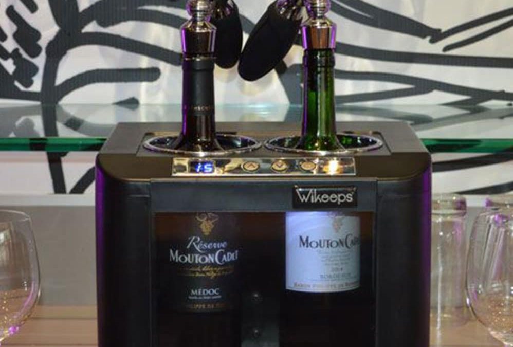 Wine Fridge vs Regular Fridge: Which is Better for Wine Storage?