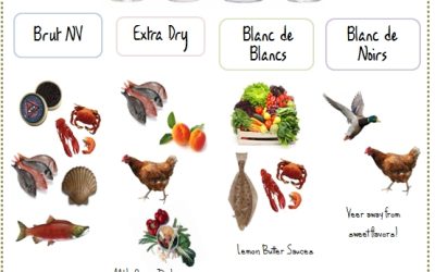 Champagne food pairing guide: expert tips for perfect champagne and food pairings