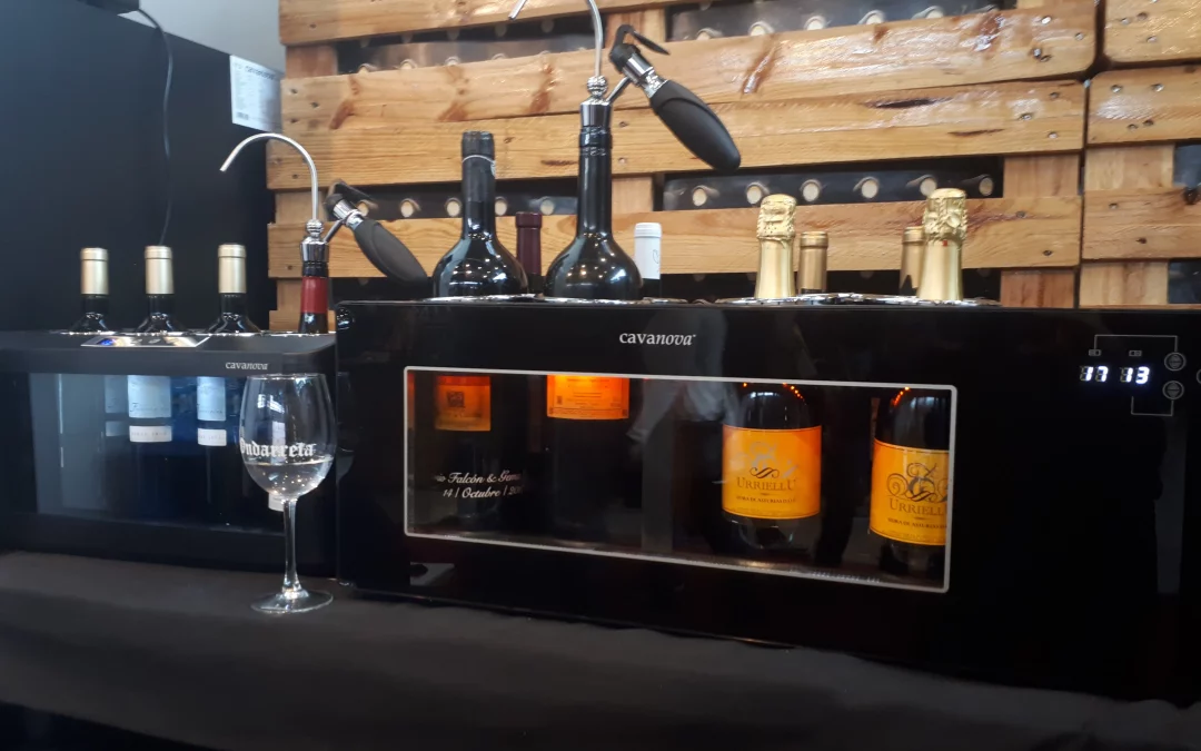 Cantine da incasso per vino: come scegliere il modello ideale