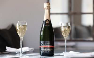 Chapel Down Union Red: English Red Wine Profile & Preservation Guide