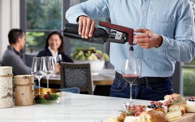 Wine needle pourer systems: pour by the glass without uncorking