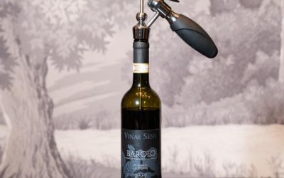 I 5 migliori vini rossi italiani: classifica e guida 2026