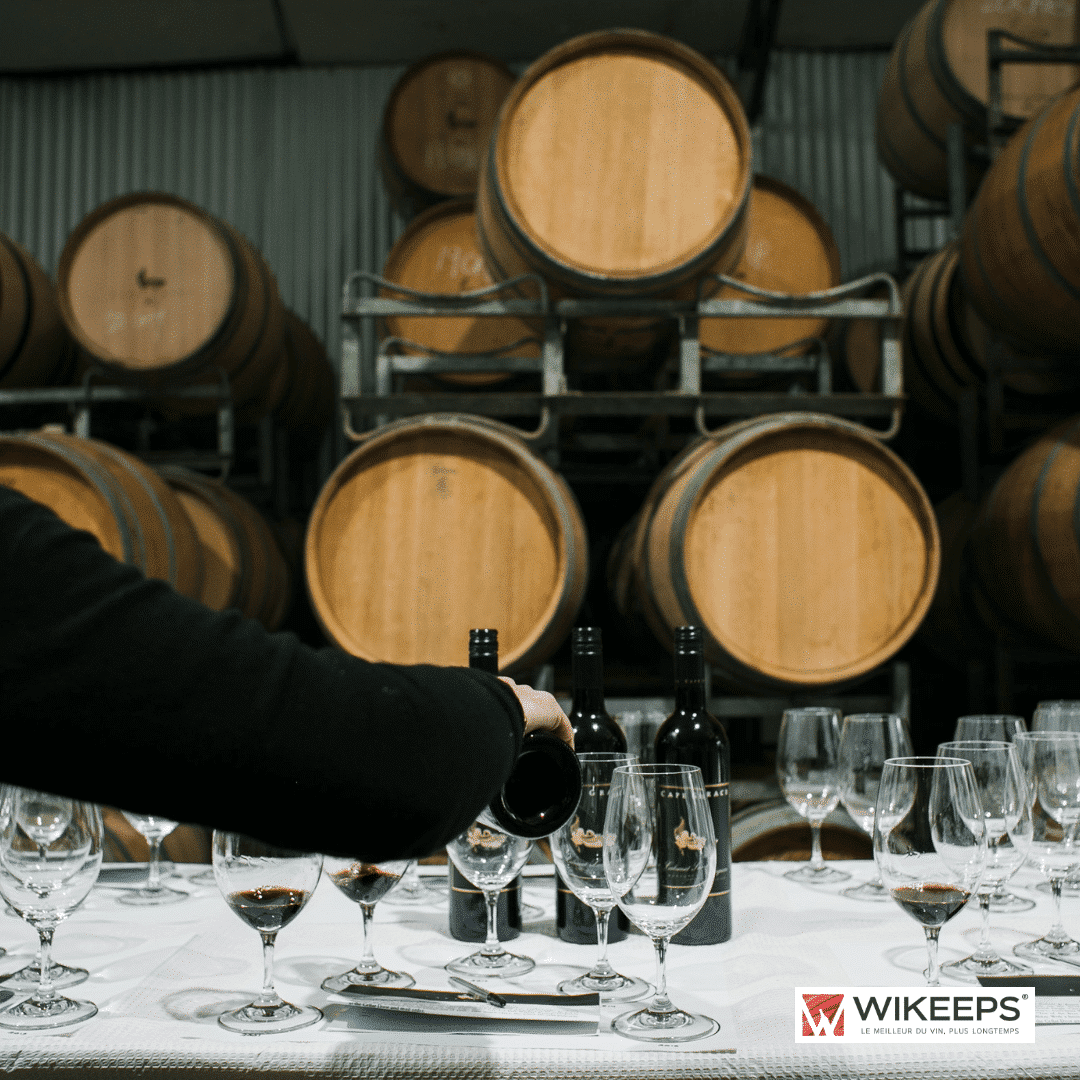 I 5 migliori vini rossi italiani: classifica e guida 2026