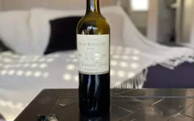 Gas inerti per il vino: argon e azoto in enologia