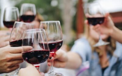 How to choose the best wine for every occasion: beginner’s guide