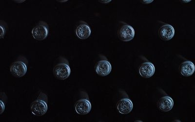 Age-worthy wines to collect and cellar: guide to aging wine with Wikeeps