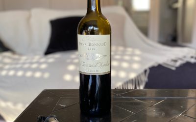 Conservare il vino aperto: durata e metodi – Wikeeps