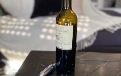 Wine Tasting at Home: Essential Accessories & Preservation Guide