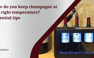 How to store champagne at the right temperature: expert tips 2024