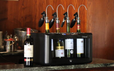 Cantinetta vino con doppia temperatura: guida alla scelta