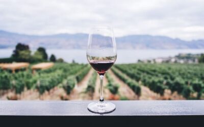 Wine bottle sizes and large formats explained