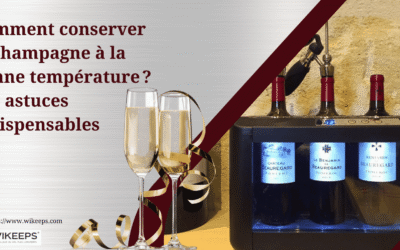 Champagne preservation systems compared: which keeps bubbles longest