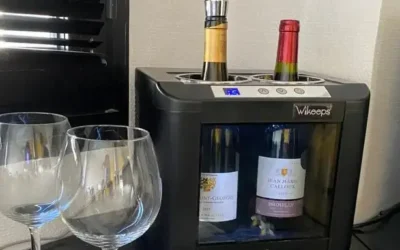 Quel est le meilleur système de conservation du vin en Europe